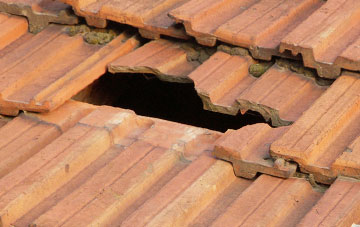 roof repair Waye, Devon